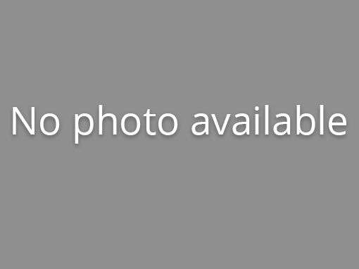 2014 E Pine Street #B Photo